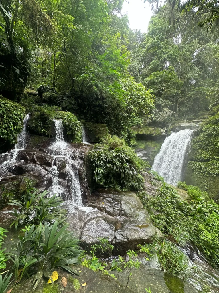 Catarata alta en Alto Chorro rodeada de naturaleza virgen y densa vegetación