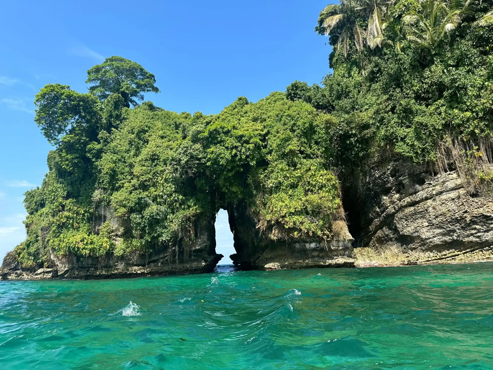Isla de los pájaros con vegetación exuberante y arco natural sobre el mar Caribe en Bocas del Toro, Panamá